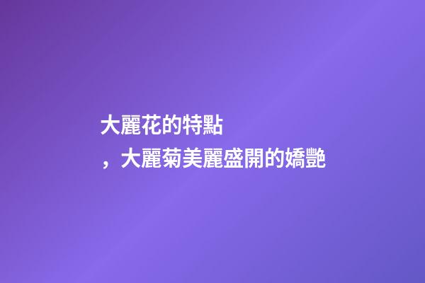 大麗花的特點，大麗菊美麗盛開的嬌艷